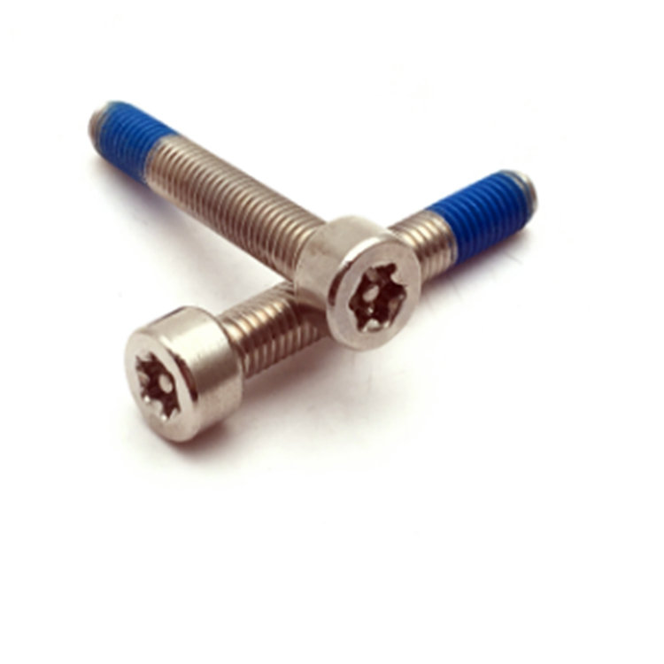 M5 ISO14579 rozsdamentes acél 304 nylon bevonatú torx fix zárcsavar